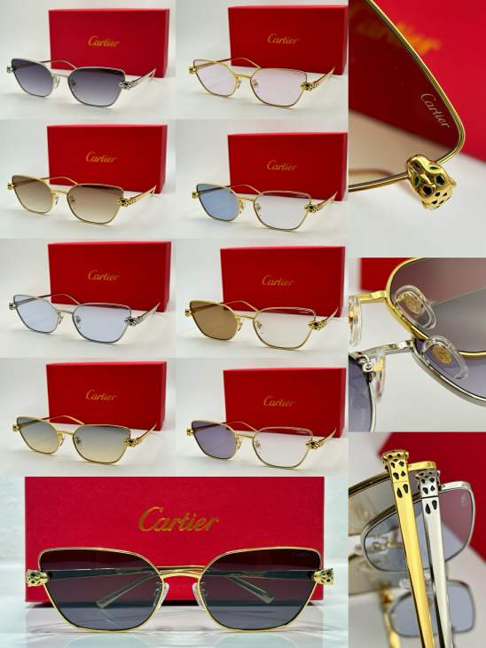 Picture of Cartier Sunglasses _SKUfw79165381fw